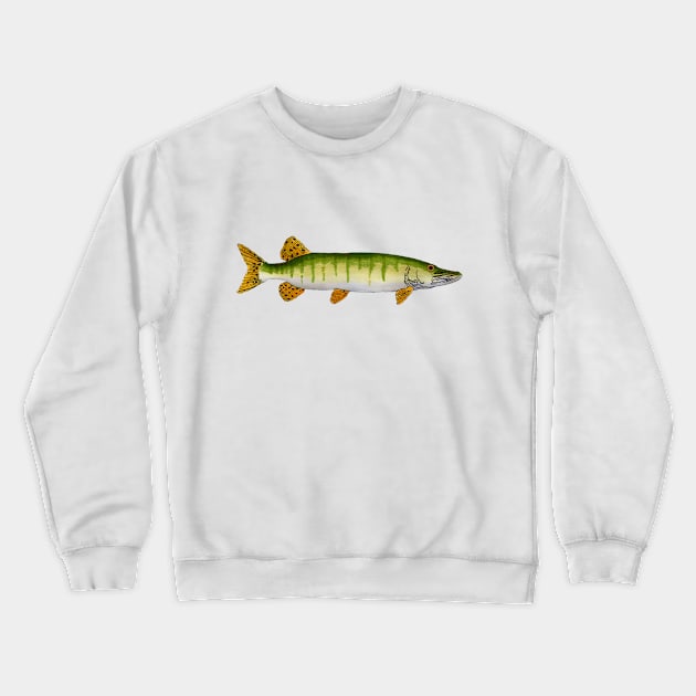 Muskellunge (Muskie) Crewneck Sweatshirt by FishFolkArt